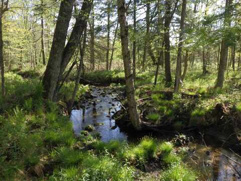 BEHNKE ROAD, Wausau, WI 54403