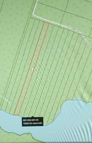 323 N Thompson Lake RD, Bois Blanc, MI 49775