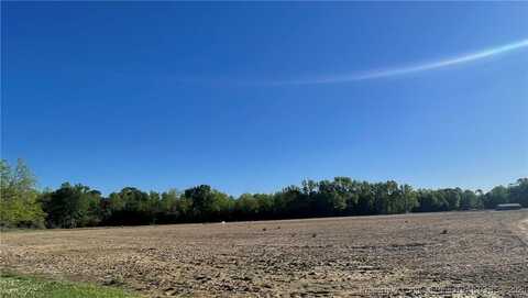 Dew Road, Rowland, NC 28383