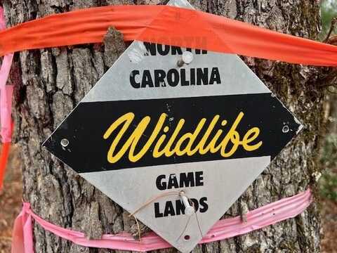 2035 Lower Tuskeegee Road, Robbinsville (Graham), NC 28771