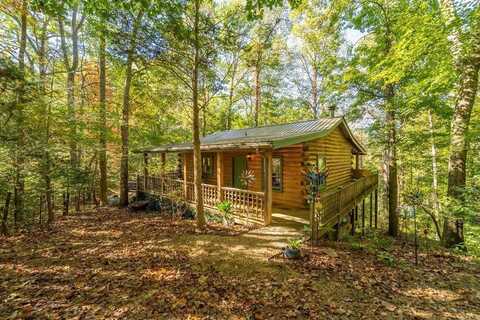 682 Lilly Lane, Whittier, NC 28789