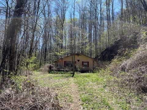 239 Laurel Drive, Whittier, NC 28789