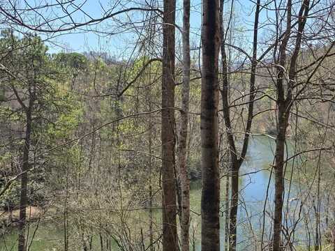 Riverside Dr, Whittier, NC 28789