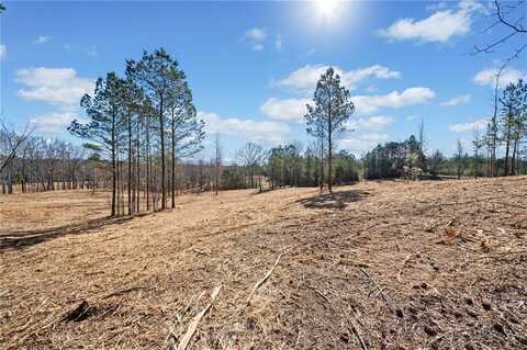 460 Mt. Olive Church Lane, White, GA 30184