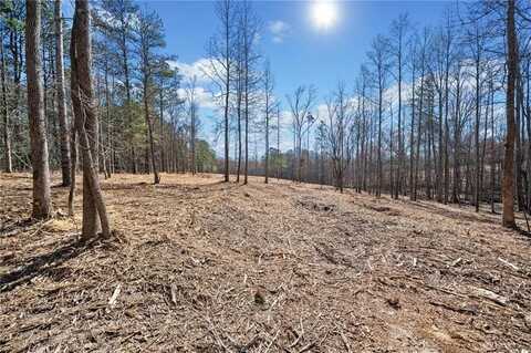 472 Mt. Olive Church Lane, White, GA 30184