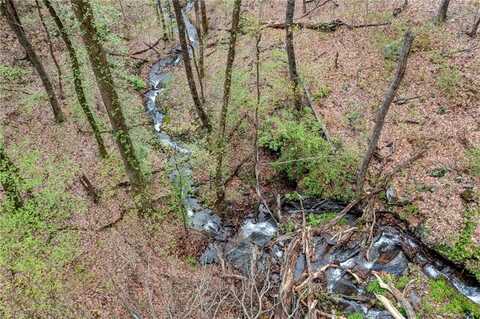 Lot 4527 Sassafras Mountain Trail, Jasper, GA 30143