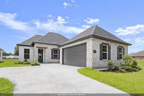36259 Belle Parc Ave, Geismar, LA 70734