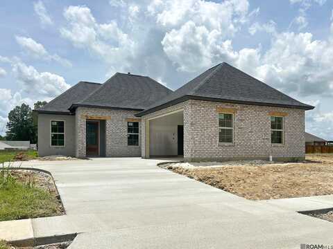 36259 Belle Parc Ave, Geismar, LA 70734