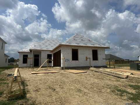 36259 Belle Parc Ave, Geismar, LA 70734