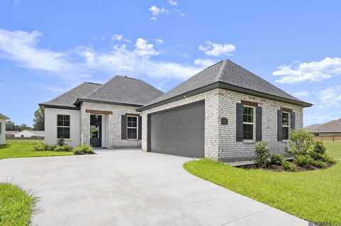 36259 Belle Parc Ave, Geismar, LA 70734