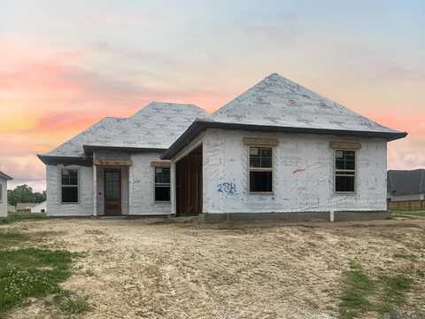 36259 Belle Parc Ave, Geismar, LA 70734