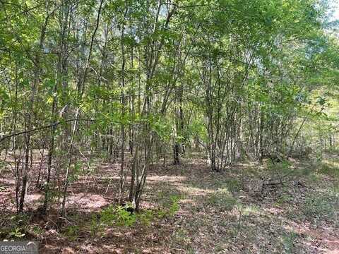 10.35 Cannafax, Barnesville, GA 30204