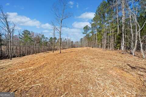 472 Mt. Olive Church Lane, White, GA 30184
