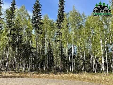 NHN FAIRLAND DRIVE, North Pole, AK 99705