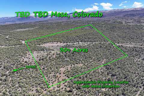 Tbd TBD, Mesa, CO 81643