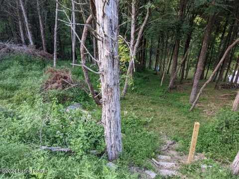 Lot 214a 215A Trailwood Lake, Bagdad, KY 40003