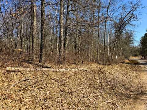 On LAKE NOKOMIS RD, Tomahawk, WI 54487