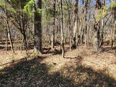 6165 E 92nd Street, Newaygo, MI 49337