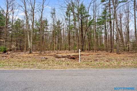 VL Nestrom Rd 0020, Whitehall, MI 49461
