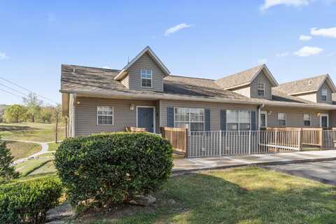 41 Scenic Court, Branson, MO 65616