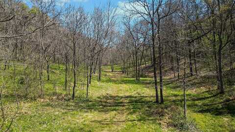 000 Paradise Lane, Pineville, MO 64856