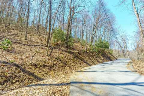 Tyrolea Court, Gatlinburg, TN 37738