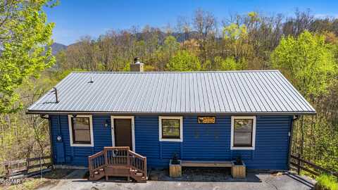 1023 Twin Oaks Road, Gatlinburg, TN 37738