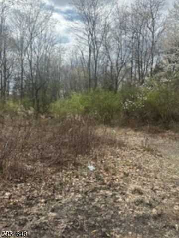 Warren Ave, Hilltop, NJ 07980