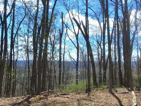 5 Ac Bear View Trail, Hillsboro, WV 24946