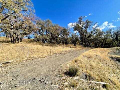 40 +/- Acres Burr Valley Road, Dinsmore, CA 95526