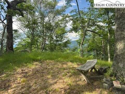 796 Goat Mountain Road, Zionville, NC 28698