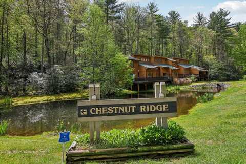 24 Chestnut Ridge RD. Road, Sapphire, NC 28774