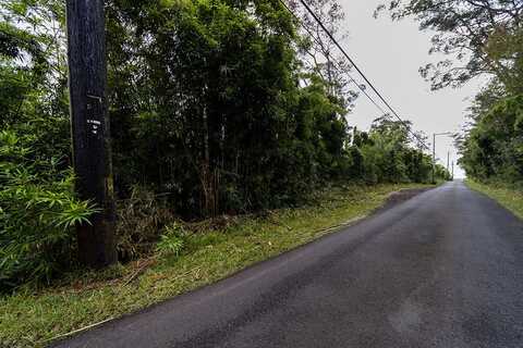GLENWOOD RD, MOUNTAIN VIEW, HI 96771