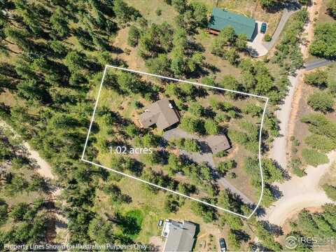 11744 S Stallion Dr, Pine, CO 80470