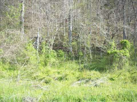 War Creek Road, Sneedville, TN 37869