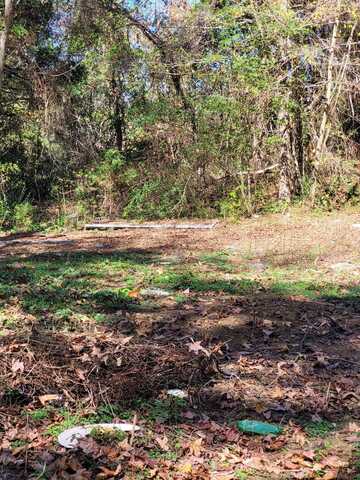 2303 Rainwater Road, Dandridge, TN 37725