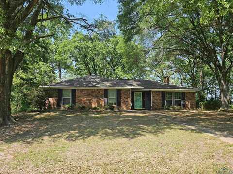 7 Kelly Ct, Hallsville, TX 75605