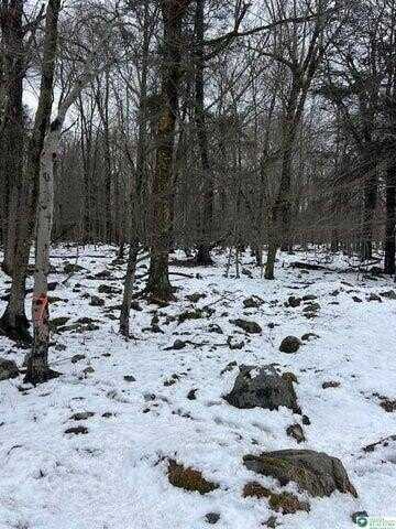 Cobblewood Road, Wayne County, PA 18424