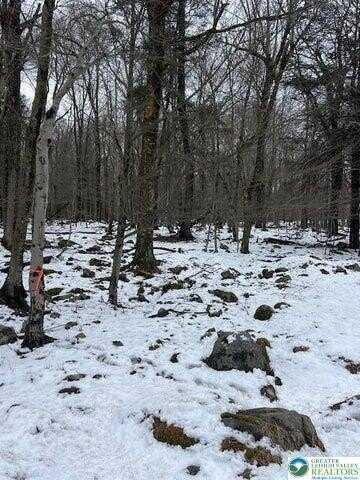 Cobblewood Road, Wayne, PA 18424