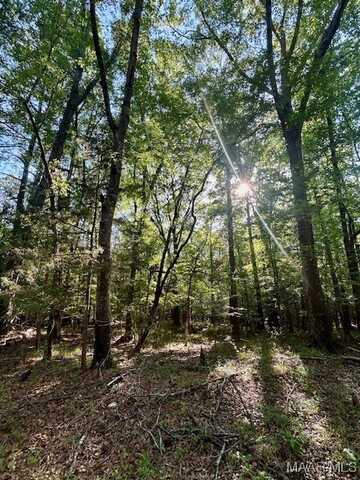 Sherling Lake Road, Greenville, AL 36037
