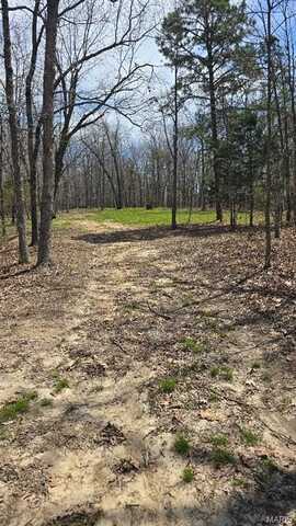 0 Tract 2 Off Hwy 32, Belleview, MO 63623