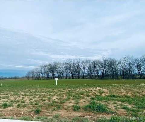 612 Legacy Drive, Waterloo, IL 62298