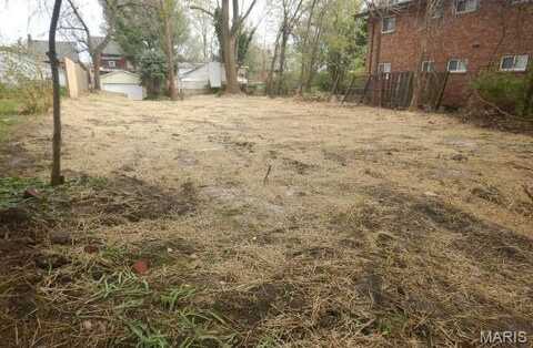 4338 Virginia Avenue, Saint Louis, MO 63111