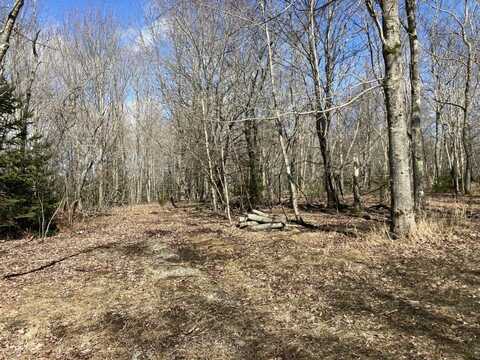 Lot 066 Eastside Road, Hancock, ME 04640