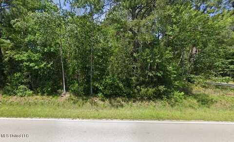 01 Petite Acres Drive, Bay Saint Louis, MS 39520