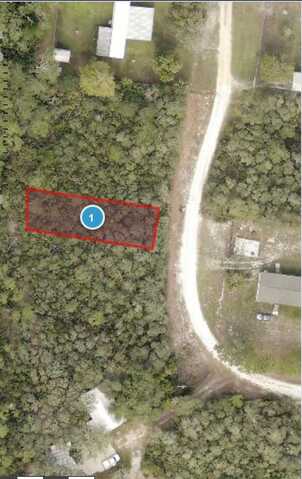 00 DEER CROSSING ROAD, ALTOONA, FL 32702