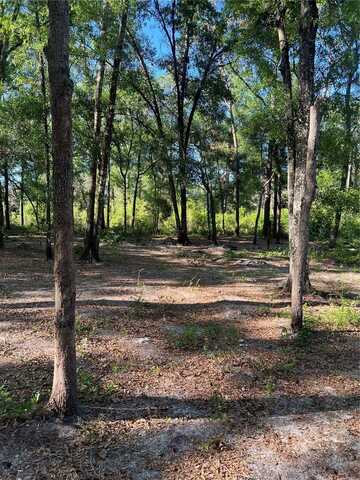 118 SW 118TH LANE, WEBSTER, FL 33597