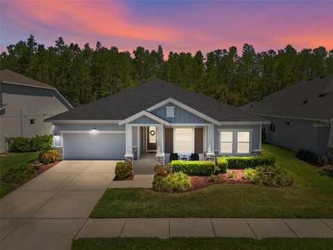 15329 RENAISSANCE AVENUE, ODESSA, FL 33556