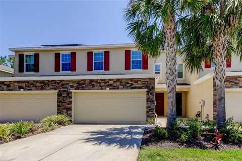 13217 CANOPY CREEK DRIVE, TAMPA, FL 33625