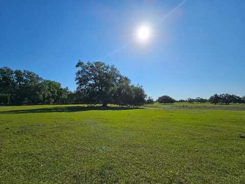 ARENA ROAD, DADE CITY, FL 33523